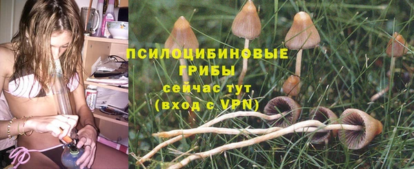 хмурый Куйбышев