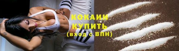 гидра Кулебаки