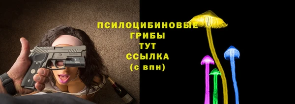 хмурый Куйбышев
