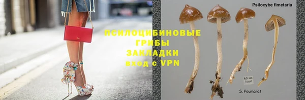 гидра Кулебаки