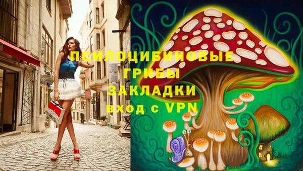 гидра Кулебаки