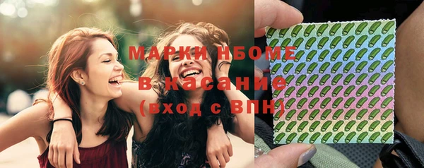 гидра Кулебаки