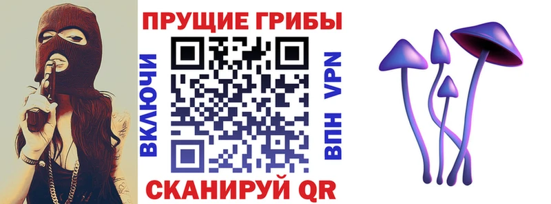 Купить где Заполярный Псилоцибиновые грибы MAGIC MUSHROOMS
